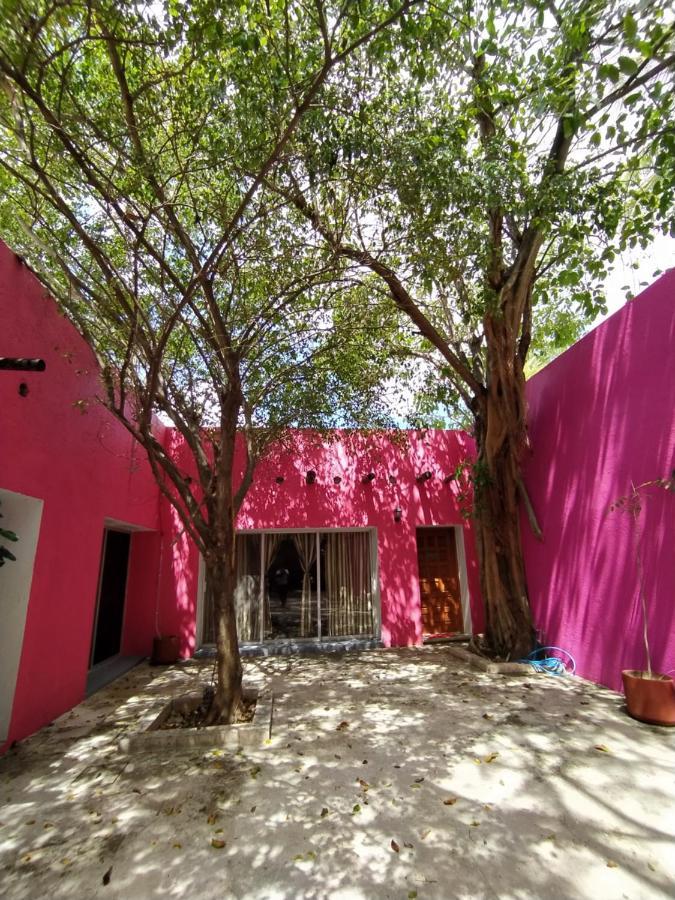 Casa Isabella Otel Cozumel Dış mekan fotoğraf