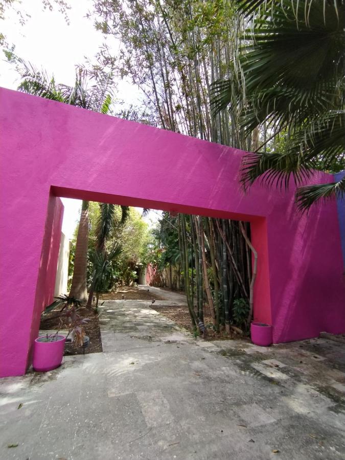 Casa Isabella Otel Cozumel Dış mekan fotoğraf